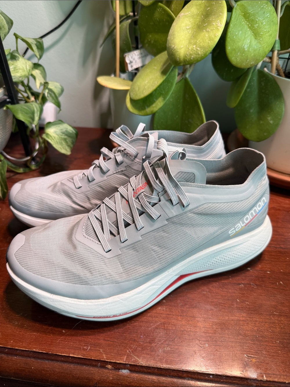 Salomon Men's Phantasm running shoes